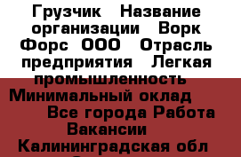 Грузчик › Название организации ­ Ворк Форс, ООО › Отрасль предприятия ­ Легкая промышленность › Минимальный оклад ­ 24 000 - Все города Работа » Вакансии   . Калининградская обл.,Советск г.